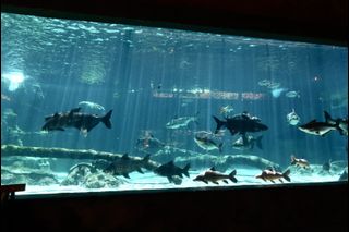 (Category: ) located in . Submitted by jo_tickets (Listing ID 1420643479, Image 1). Description: .