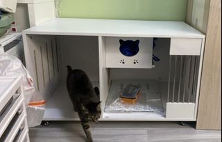 （分類：）位於 。 由 kimjai 提交（商品編號 1420665348，圖片 1）。簡介： 。