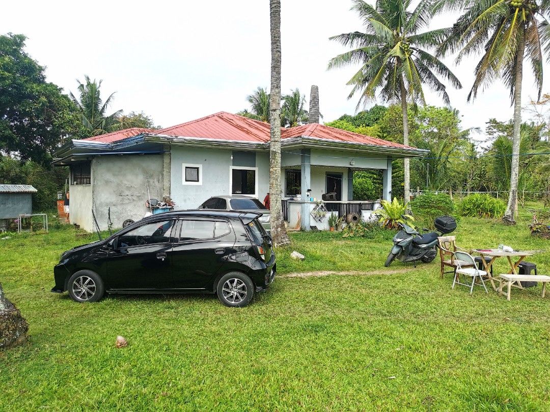 2900 House and Lot (Category: House & Lot) located in Pasig City. Submitted by EyyEn (Listing ID 1423980385, Image 3). Description: 2900sqm Lot 150sqm Floor area 3 bed room 1 toilet & bath 1 dirty kitchen May kuryente, tubig at internet. Negotiable Brgy Bucal Sariaya Quezon Direct buyers only For more inquiries please contact: 0915 691 2221 / 0992 069 0735.
