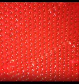 (Category: ) located in . Submitted by wrcrandy (Listing ID 1424137048, Image 1). Description: .
