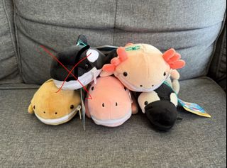 （分類：）位於 。 由 cuteitemsforsales 提交（商品編號 1423326002，圖片 1）。簡介： 。