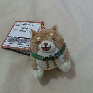 （分類：）位於 。 由 apandamanda 提交（商品編號 1424071335，圖片 1）。簡介： 。