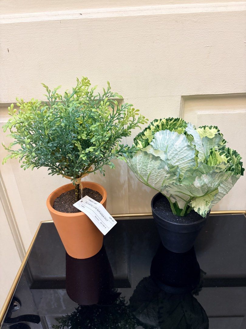 Artificial Potted Plants - Decorative (Category: Artificial Plants & Flowers) located in Mandaluyong City. Submitted by home_box.ae (Listing ID 1424157204, Image 1). Description: - Set of two artificial potted plants. - Includes: - Small, round, green plant in a terracotta pot. - Decorative cabbage-like plant with white, green, and yellow leaves in a black pot. - Suitable for indoor use. - Adds a touch of nature. - No maintenance needed..