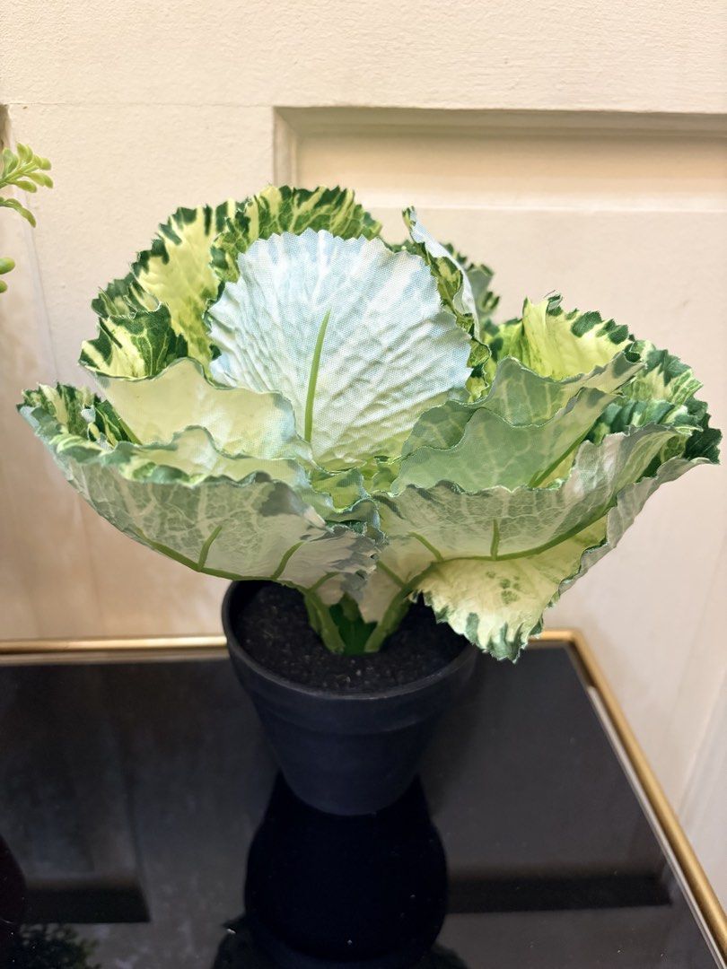 Artificial Potted Plants - Decorative (Category: Artificial Plants & Flowers) located in Mandaluyong City. Submitted by home_box.ae (Listing ID 1424157204, Image 3). Description: - Set of two artificial potted plants. - Includes: - Small, round, green plant in a terracotta pot. - Decorative cabbage-like plant with white, green, and yellow leaves in a black pot. - Suitable for indoor use. - Adds a touch of nature. - No maintenance needed..