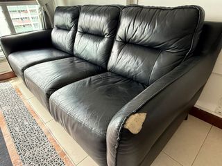 (Category: ) located in . Submitted by sadli (Listing ID 1423979484, Image 1). Description: .