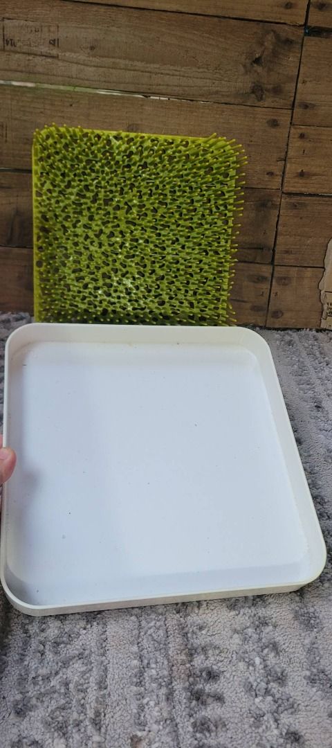BOON DRYING RACK (Category: Breastfeeding & Bottle Feeding) located in Sablan. Submitted by gongonshelley12 (Listing ID 1424151162, Image 2). Description: 👉👉250 ONLY👈👈 Boon Grass Countertop Drying Rack EXCELLENT CONDITION.
