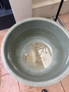 (Category: ) located in . Submitted by zai_sg (Listing ID 1422755579, Image 1). Description: .