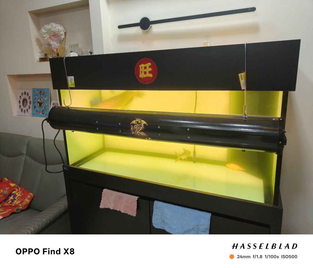 Lighting (Category: Homes & Other Pet Accessories) located in Singapore. Submitted by leebao012 (Listing ID 1424099243, Image 1). Description: - selling 4 feet's Bazooka tanning light .