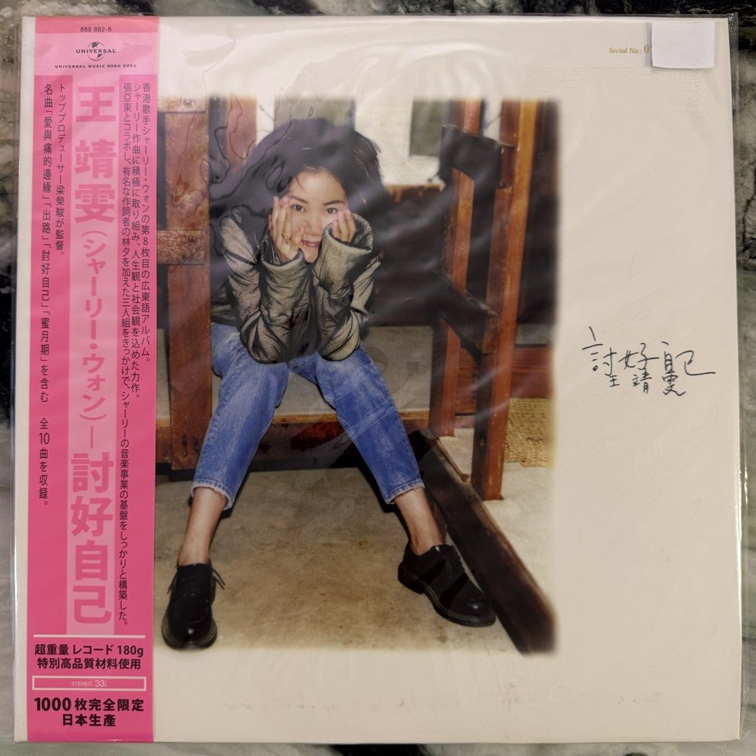 Faye Wong 王菲讨好自己黑胶LP Vinyl Record - 编号, Hobbies & Toys