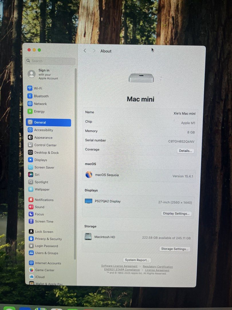 Mac Mini M165604607772547111