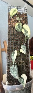 (Category: ) located in . Submitted by druk76 (Listing ID 1402287787, Image 1). Description: .