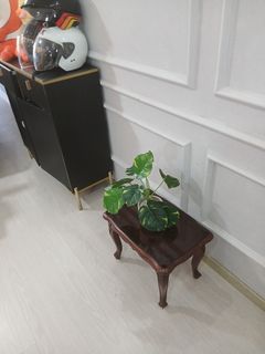 (Category: ) located in . Submitted by aliaini (Listing ID 1423991533, Image 1). Description: .