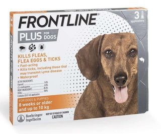 （分類：）位於 。 由 felixthedogs 提交（商品編號 1425729095，圖片 1）。簡介： 。