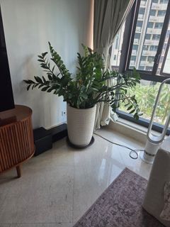 (Category: ) located in . Submitted by matt6003 (Listing ID 1425649780, Image 1). Description: .
