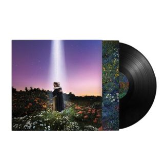 (Category: ) located in . Submitted by thevinylvault (Listing ID 1425788383, Image 1). Description: .