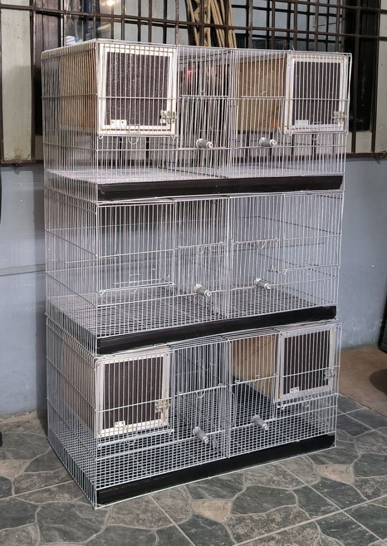 Multi-Tier Bird Cage (Set of 3 ) (Category: Homes & Other Pet Accessories) located in Bulacan. Submitted by tripledouble532 (Listing ID 1425732536, Image 3). Description: FOR SALE: ( 3 Pcs/ as set ) Size 15X30 Gauge 14 - Multi-tier bird cage with multiple compartments. Features wire construction with black base and dividers. Includes multiple access doors and feeding/watering compartments. Suitable for multiple birds..