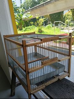 (Category: ) located in . Submitted by surebestpet (Listing ID 1425671499, Image 1). Description: .