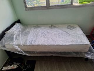 (Category: ) located in . Submitted by ckalano (Listing ID 1425647242, Image 1). Description: .