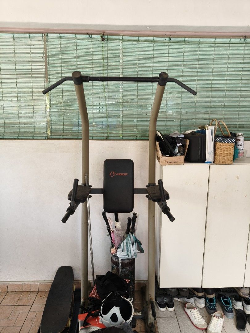 Vega Pull-up Bar with Dip Station, Sports Equipment, Exercise & Fitness ...