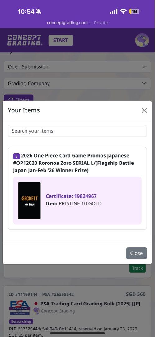 BGS 10 Serial Zoro for Japan, Hobbies & Toys, Toys & Games on Carousell