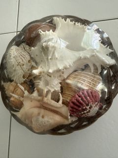 (Category: ) located in . Submitted by bambootyre (Listing ID 1425893210, Image 1). Description: .