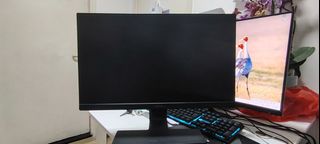Dell Monitor