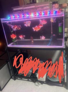 (Category: ) located in . Submitted by clxhh (Listing ID 1425974926, Image 1). Description: .