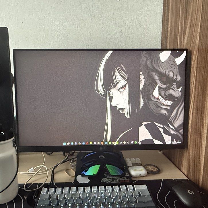 LG 25inch monitor