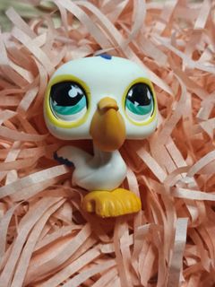 (Category: ) located in . Submitted by anxiousbean0245 (Listing ID 1360518333, Image 1). Description: .