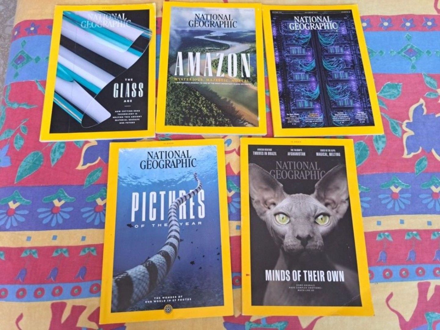 National Geographic Magazines - Assorted Issues, Hobbies & Toys, Books ...