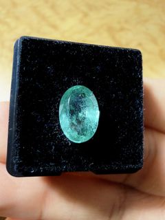(Category: ) located in . Submitted by zen.adamsmarcos.investme (Listing ID 1425982909, Image 1). Description: .