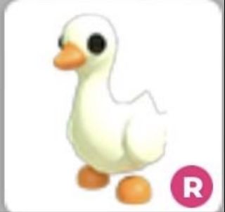 (Category: ) located in . Submitted by cinnamonrollwhirl (Listing ID 1425921134, Image 1). Description: .