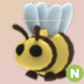 (Category: ) located in . Submitted by froggiezz (Listing ID 1426140748, Image 1). Description: .