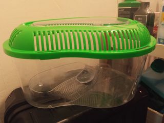 (Category: ) located in . Submitted by ggliaooo (Listing ID 1426023176, Image 1). Description: .
