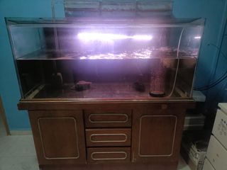 (Category: ) located in . Submitted by puva13 (Listing ID 1426114785, Image 1). Description: .