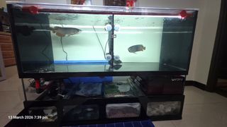 (Category: ) located in . Submitted by ahgogo08 (Listing ID 1426297553, Image 1). Description: .
