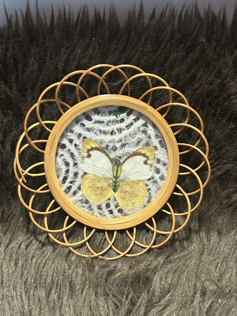 Butterfly Wall Decor with Rattan Frame (Category: Wall Decor) located in Angeles City. Submitted by zyeplustradings (Listing ID 1426382571, Image 1). Description: Unique wall decor features a preserved butterfly encased in a circular frame. The frame is made of woven rattan, adding a natural and rustic touch. The butterfly has white and yellow wings. The piece is designed to be hung on a wall..