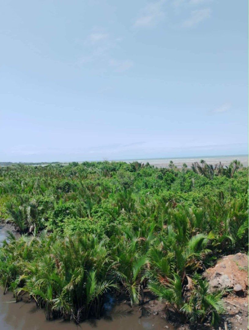 Cagayan Beachfront (Bisagu, Aparri) (Category: Lot) located in Quezon City. Submitted by pjrosetase (Listing ID 1426208267, Image 1). Description: Prime beachfront property in Aparri, Cagayan. 23 hectares (230,000 sqm) of stunning coastline waiting for your next move! Perfect for development or investment. .