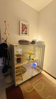 (Category: ) located in . Submitted by wildwow (Listing ID 1426348973, Image 1). Description: .