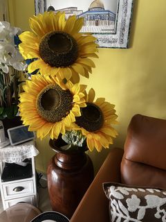 (Category: ) located in . Submitted by shalynn (Listing ID 1426209031, Image 1). Description: .