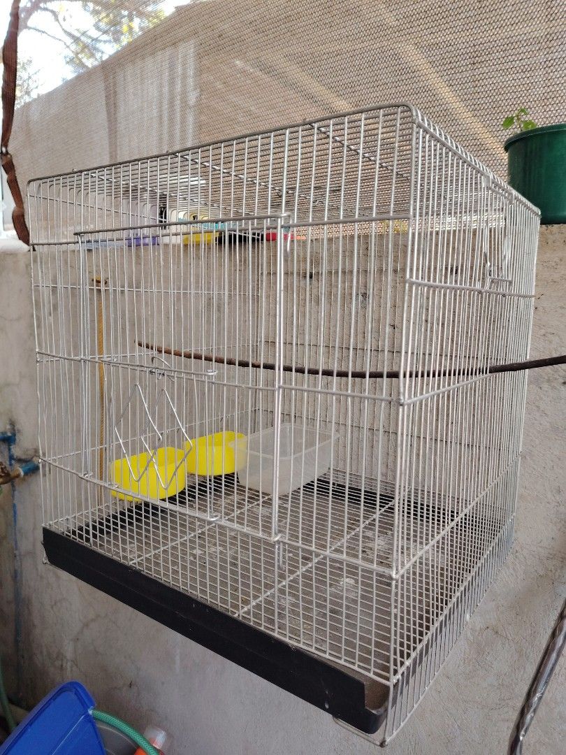 Bird Cage (Category: Homes & Other Pet Accessories) located in Manila. Submitted by krishanata22235 (Listing ID 1426511079, Image 2). Description: Used for 1 week lang, nakawala yung ibon..