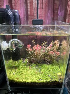 (Category: ) located in . Submitted by evan0011 (Listing ID 1426426729, Image 1). Description: .