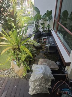 (Category: ) located in . Submitted by aquaticsolutions (Listing ID 1426408429, Image 1). Description: .