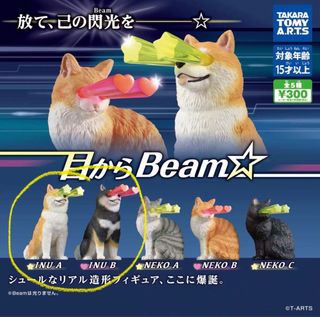 （分類：）位於 。 由 winnielpu 提交（商品編號 1426423796，圖片 1）。簡介： 。