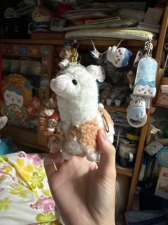 （分類：）位於 。 由 queeniechan1113 提交（商品編號 1426707121，圖片 1）。簡介： 。