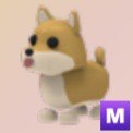 (Category: ) located in . Submitted by froggiezz (Listing ID 1426724389, Image 1). Description: .