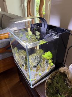 (Category: ) located in . Submitted by thud1 (Listing ID 1426599294, Image 1). Description: .