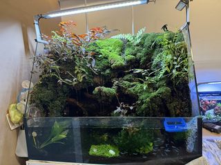 (Category: ) located in . Submitted by twotwentytwo (Listing ID 1426709218, Image 1). Description: .