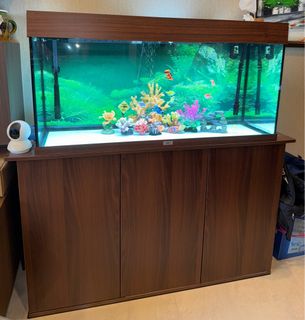 (Category: ) located in . Submitted by wowgary (Listing ID 1426700423, Image 1). Description: .