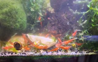 (Category: ) located in . Submitted by jacquelyn11 (Listing ID 1426734243, Image 1). Description: .